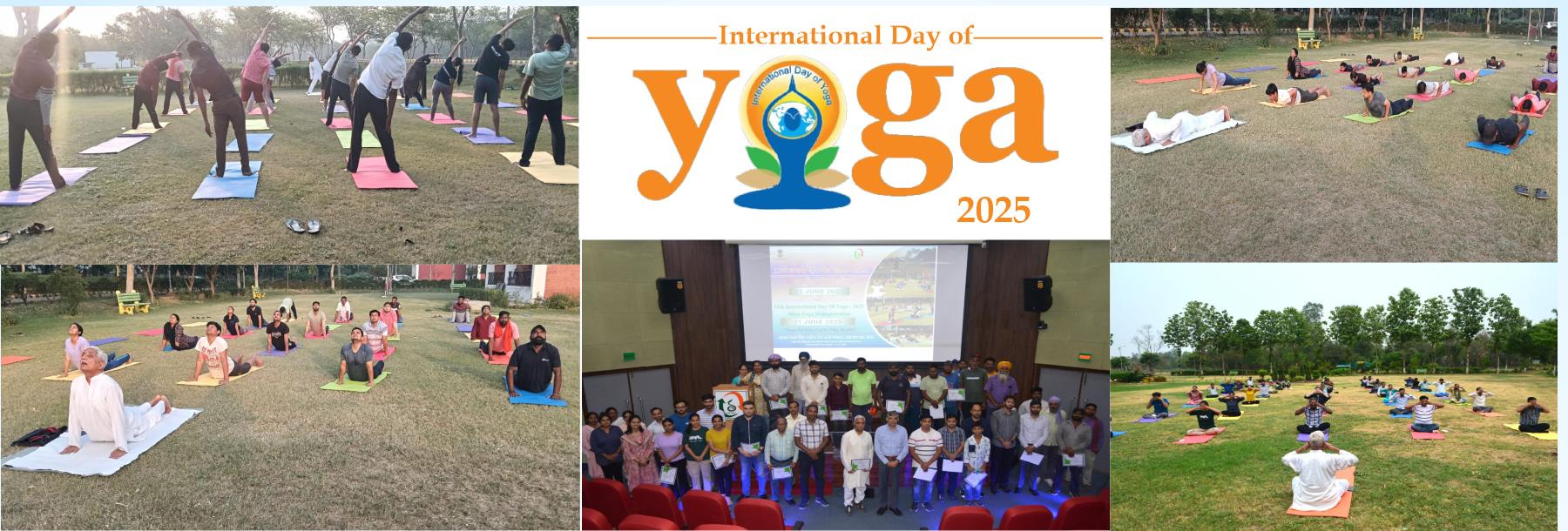 A collage celebrating International Day of Yoga 2025, showing various groups practicing yoga outdoors on mats, a group photo indoors, and the event logo in the center.